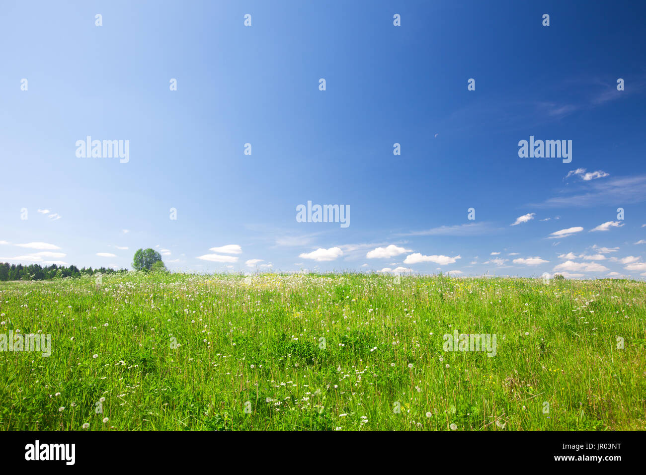 Green field under blue cloudy sky Stock Photo - Alamy