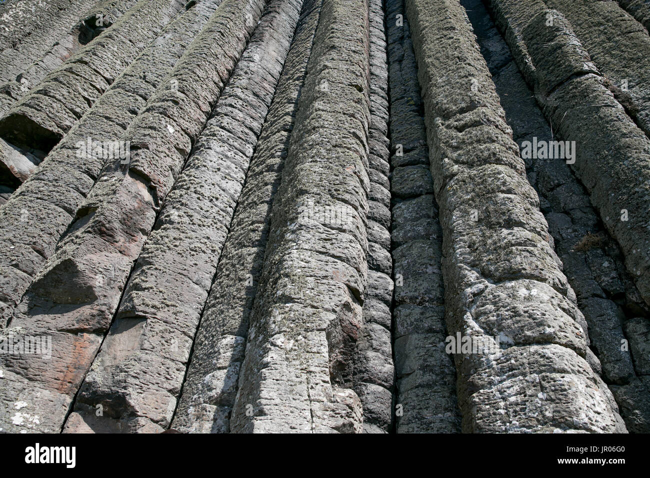 Fascinating wall of vertical columns the Organ volcanic rocks at the ...