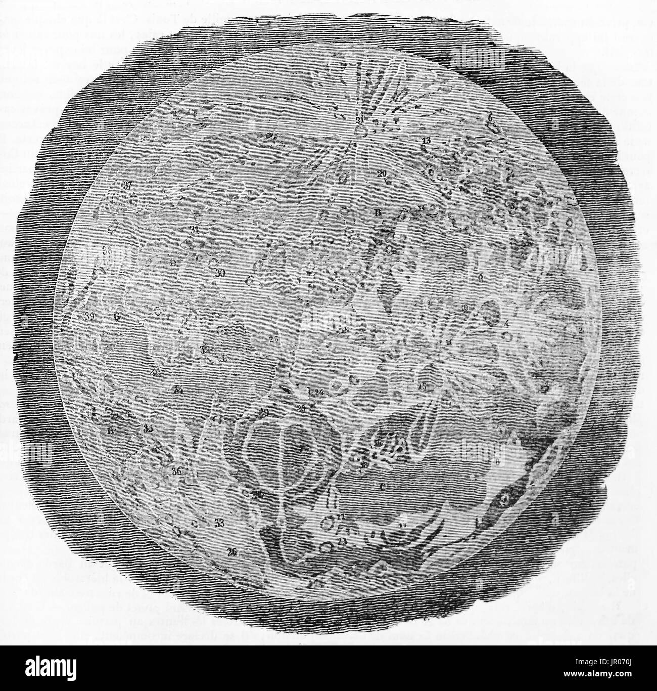 Old engraved illustration of the moon. Created by Arnout, Andrew, Best and Leloir, published on Magasin Pittoresque, Paris, 1833. Stock Photo