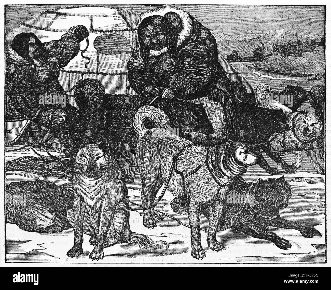Old illustration of Eskimo sledge dog resting. By unidentified author, published on Magasin Pittoresque, Paris, 1833. Stock Photo