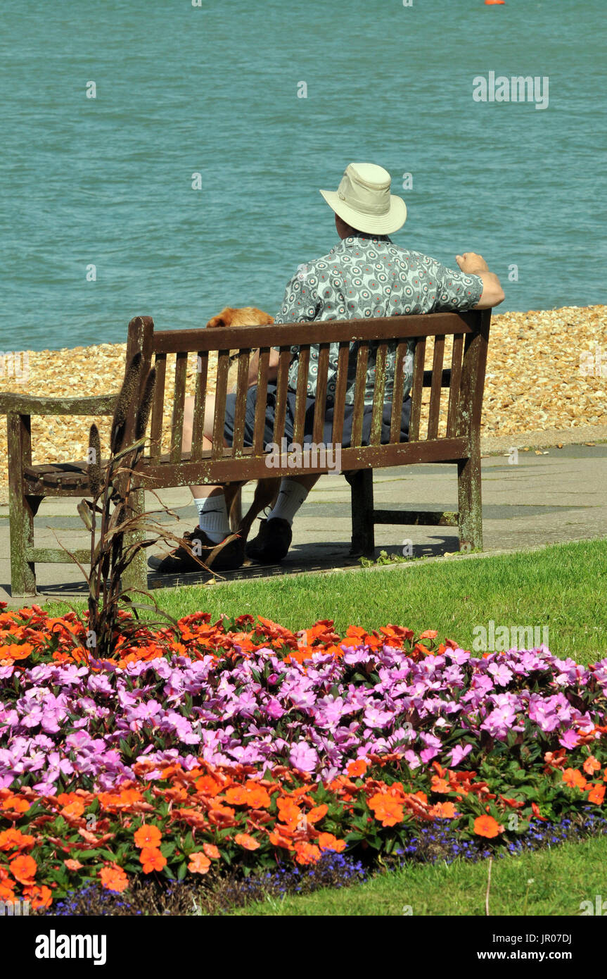 an older man or elderly man with his dog sitting on a bench on the ...