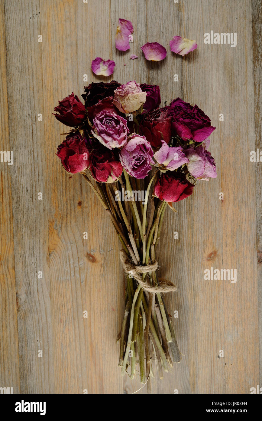 Dried Roses – Composition