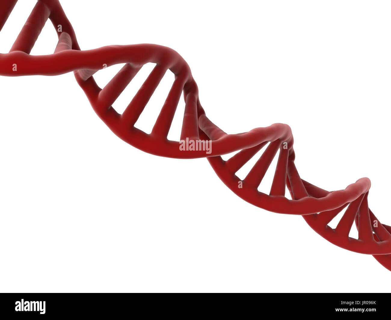3d rendering dna structure or dna helix on white background Stock Photo ...