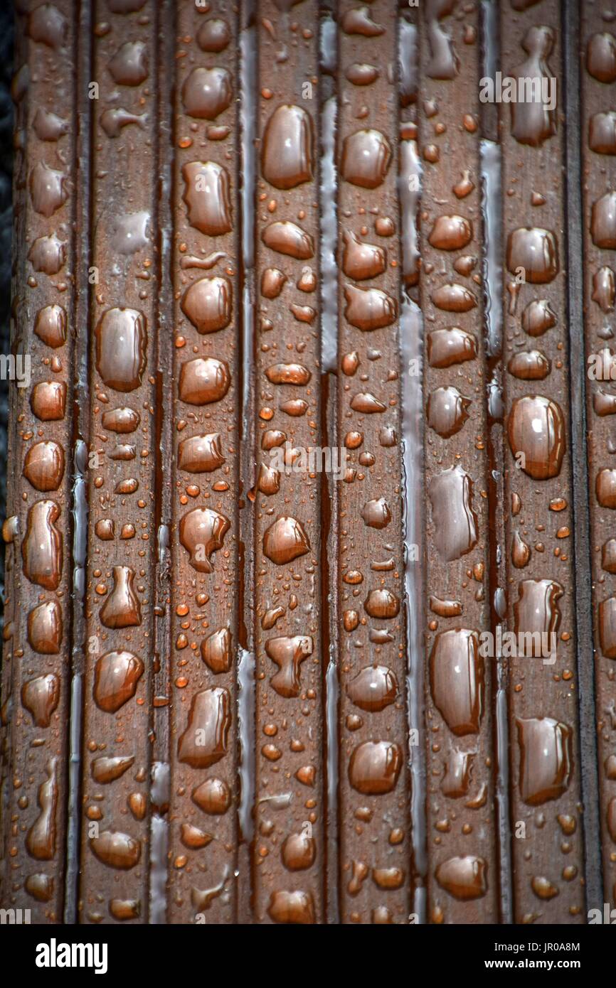 impregnated Wood with water drops Stock Photo