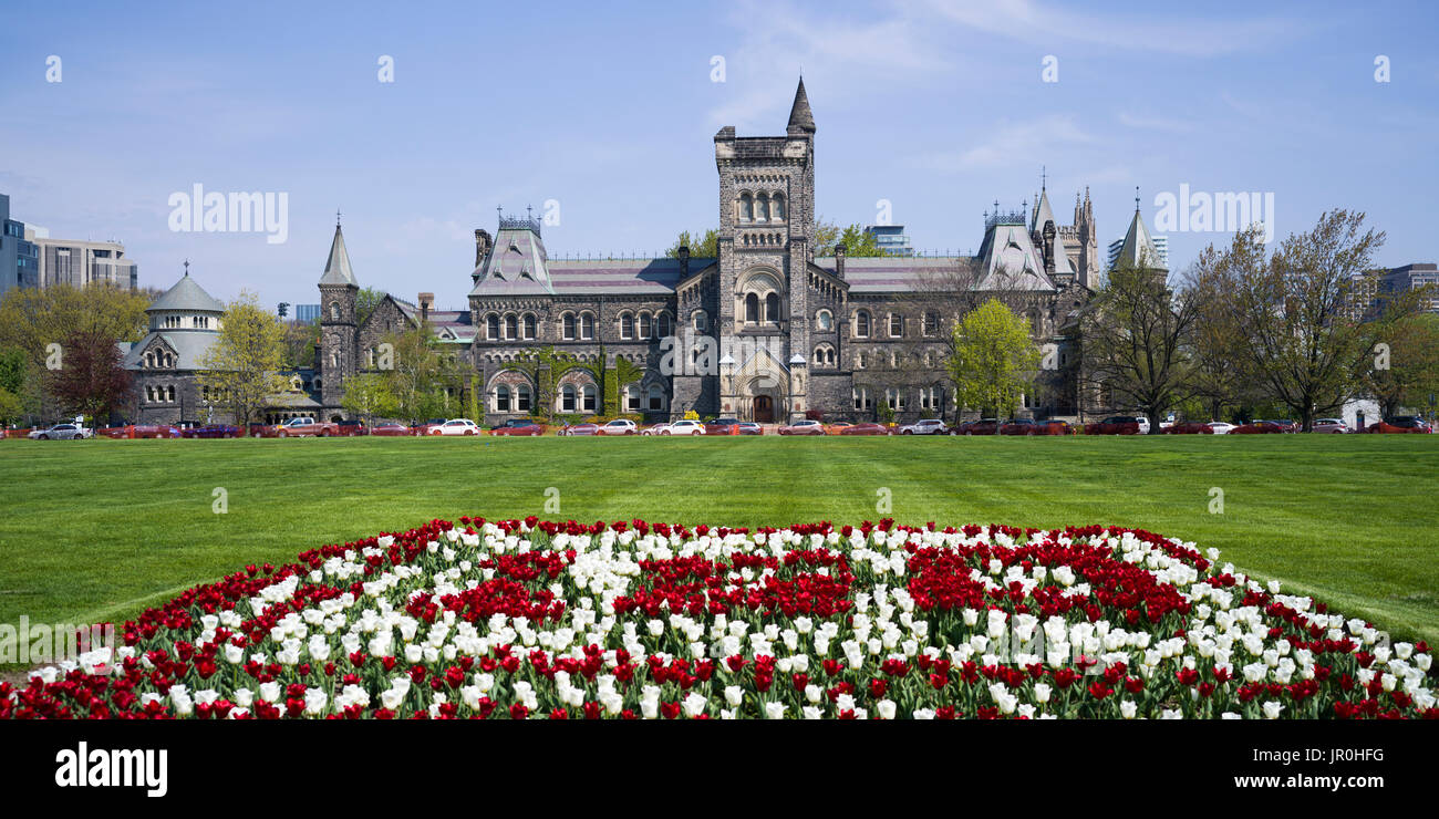 A Garden Of Red And White Flowers With A View Of Buildings On The Front Campus Of The University Of Toronto; Toronto, Ontario, Canada Stock Photo