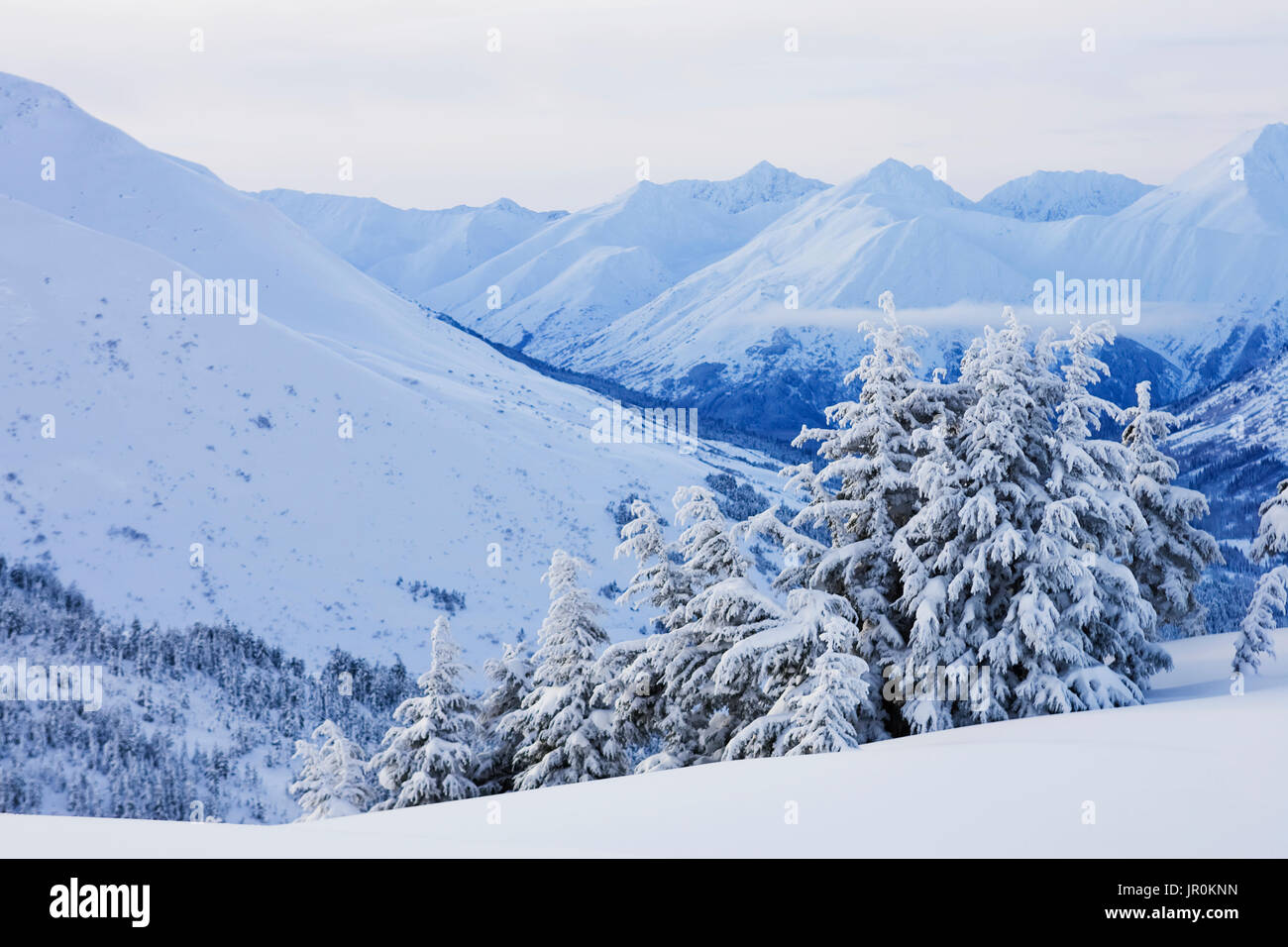 Snow Covered Mountain Range And Trees In Winter; Alaska, United States