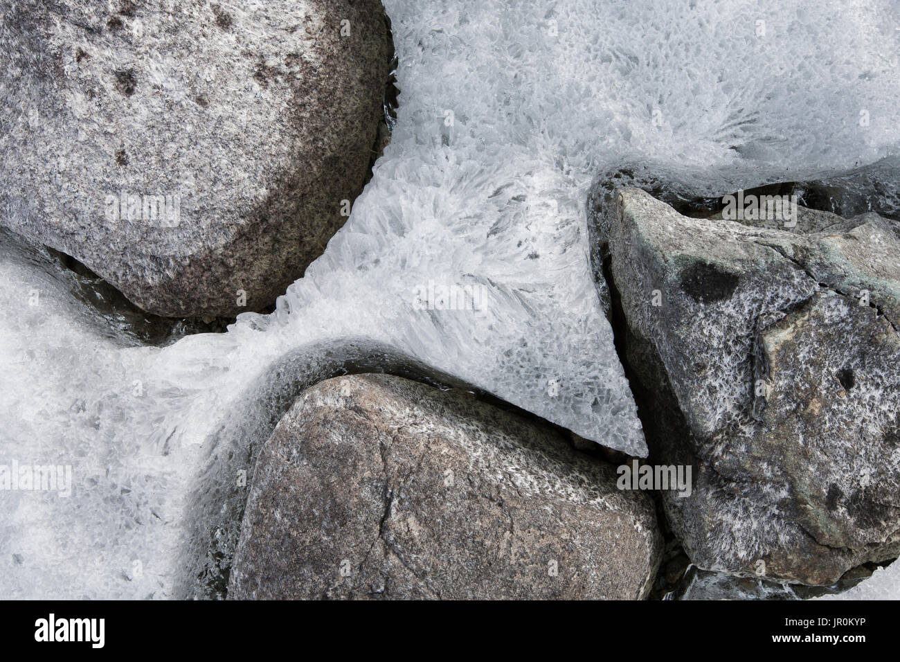 Close-Up Of Ice Frozen Around Rocks; Alaska, United States Of America Stock Photo