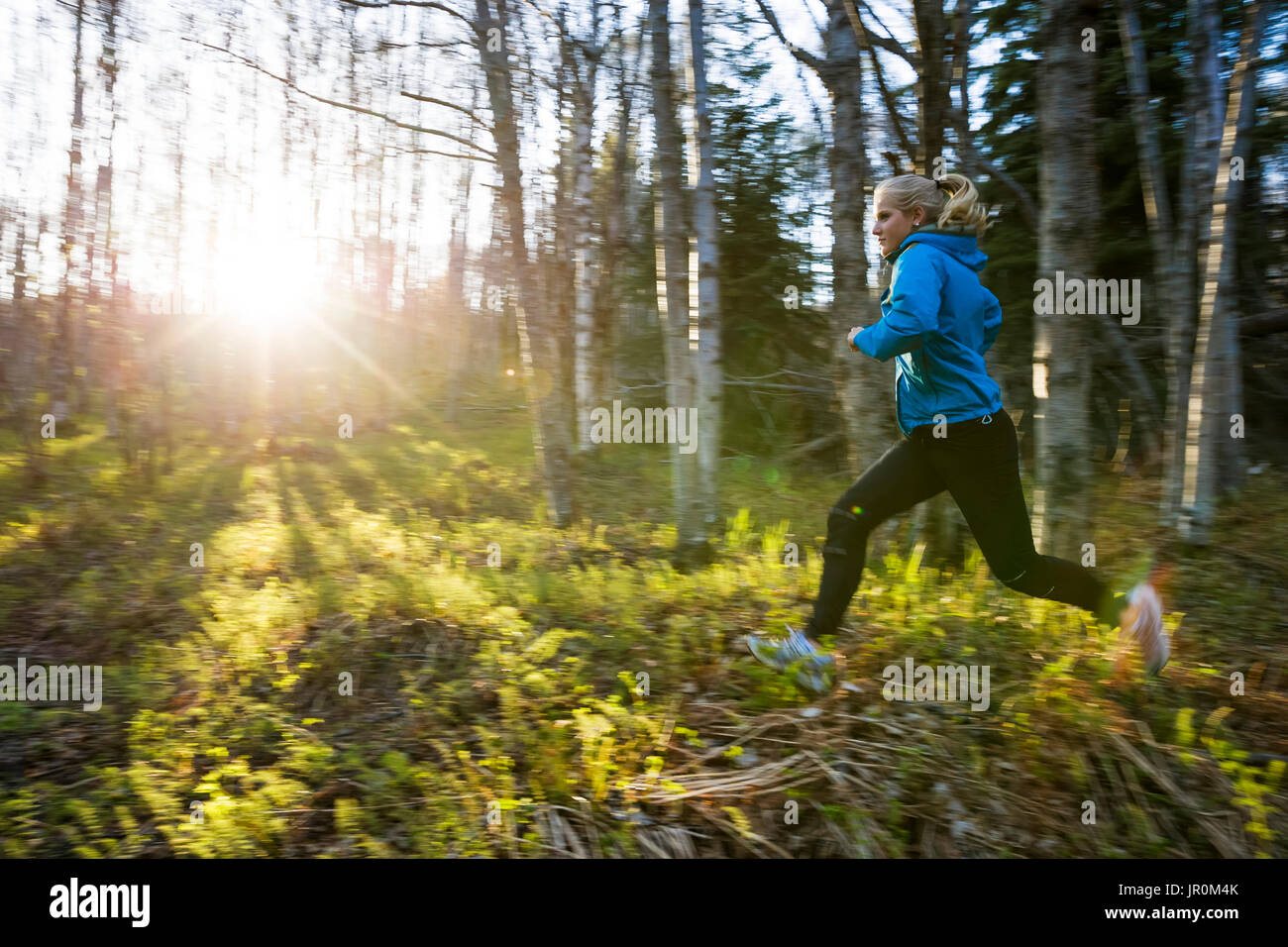 A Young Woman Running Across The Plants Of The Forest Floor In A Forest; Homer, Alaska, United States Of America Stock Photo