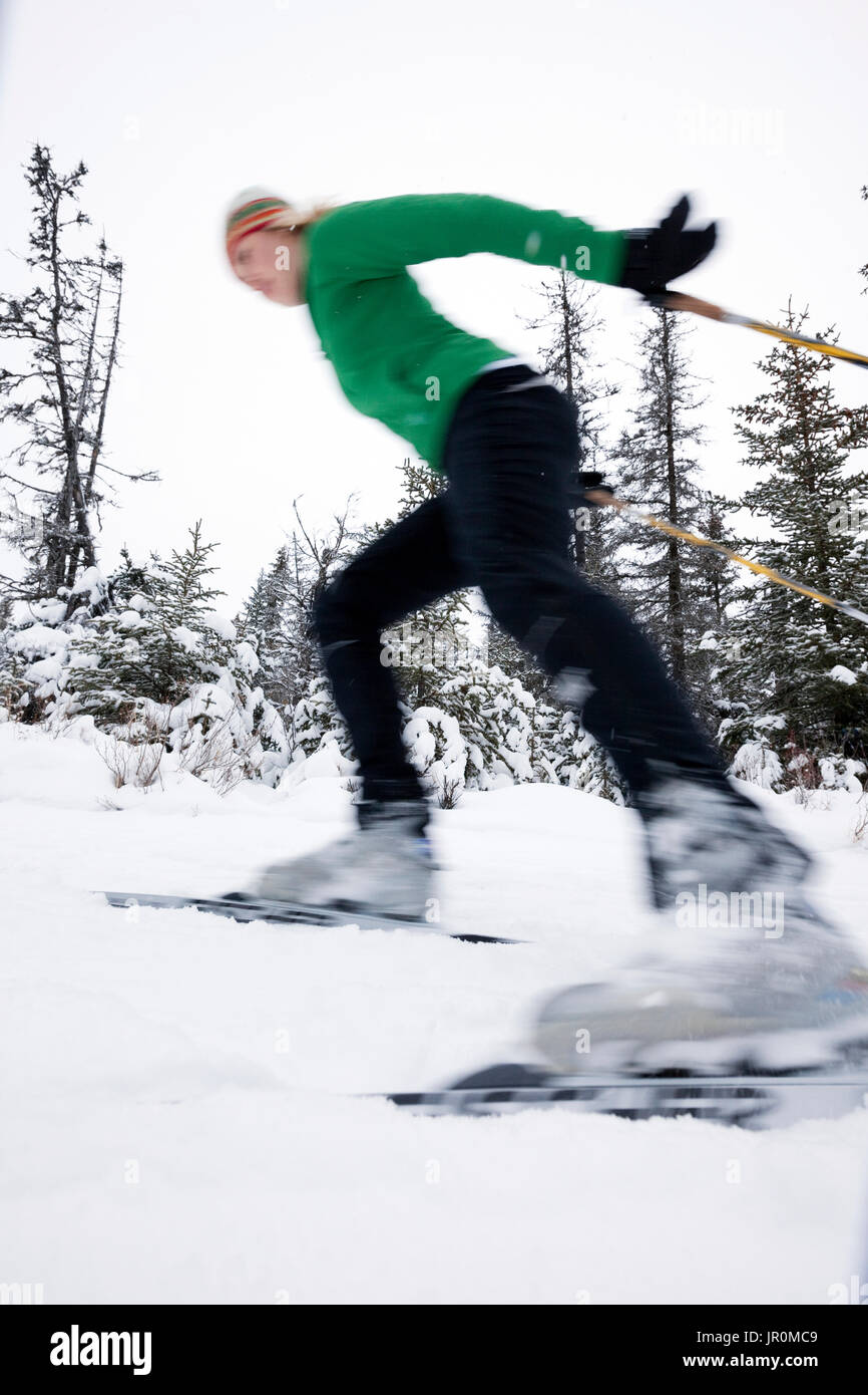 Cross Country Skiing On A Trail Through A Forest; Homer, Alaska, United