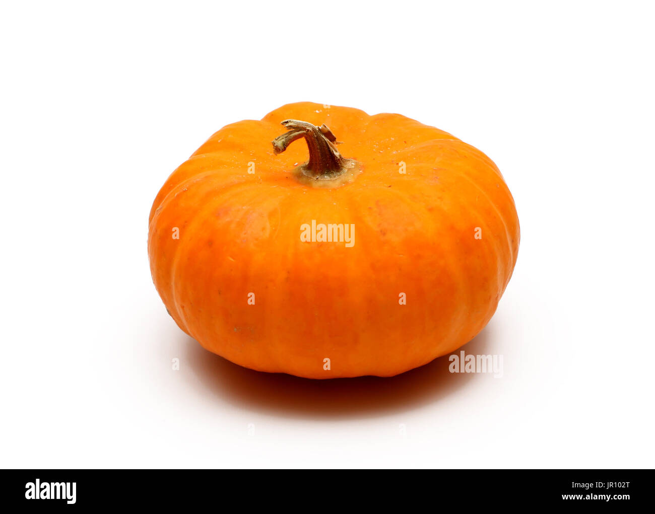 Pumpkin isolated on a white background Stock Photo - Alamy