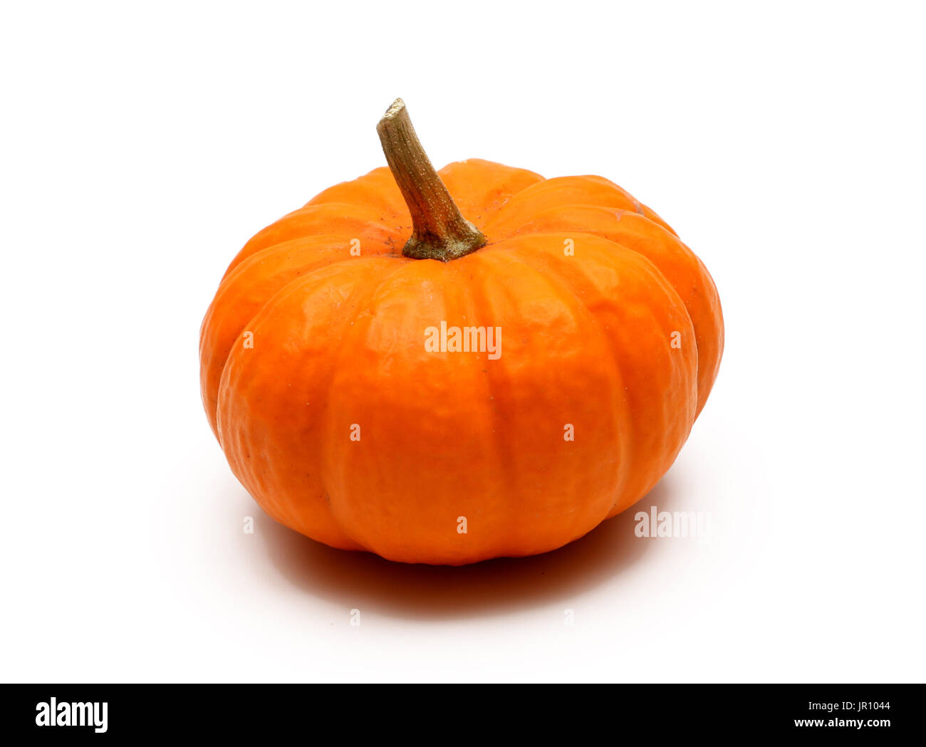 Pumpkin isolated on a white background Stock Photo - Alamy