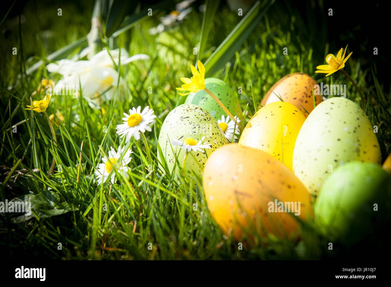 colored Easter eggs hidden in flowers and grass Stock Photo - Alamy
