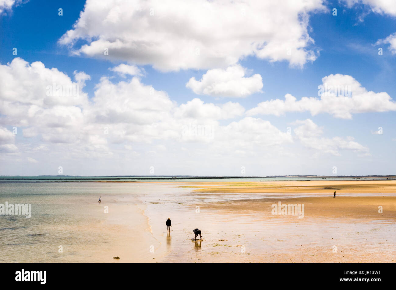 Seashore at low tide with people cockle picking and strolling on the beach under a blue sky full of heavy white clouds. Stock Photo