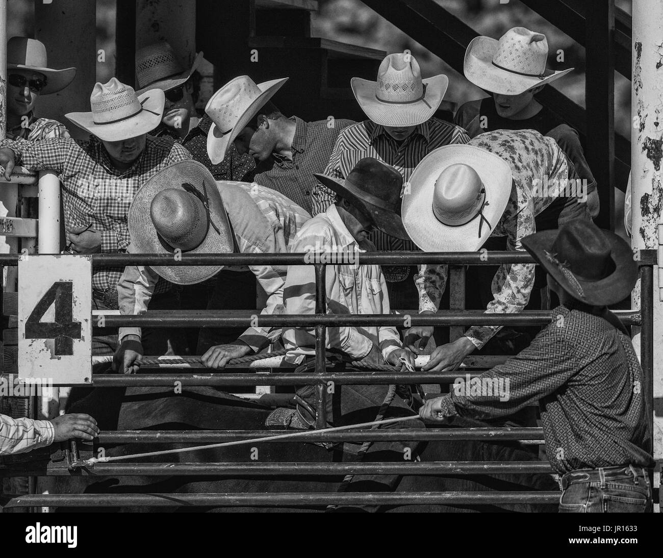 Rodeo action at the Scott Valley Pleasure Park Rodeo in Etna