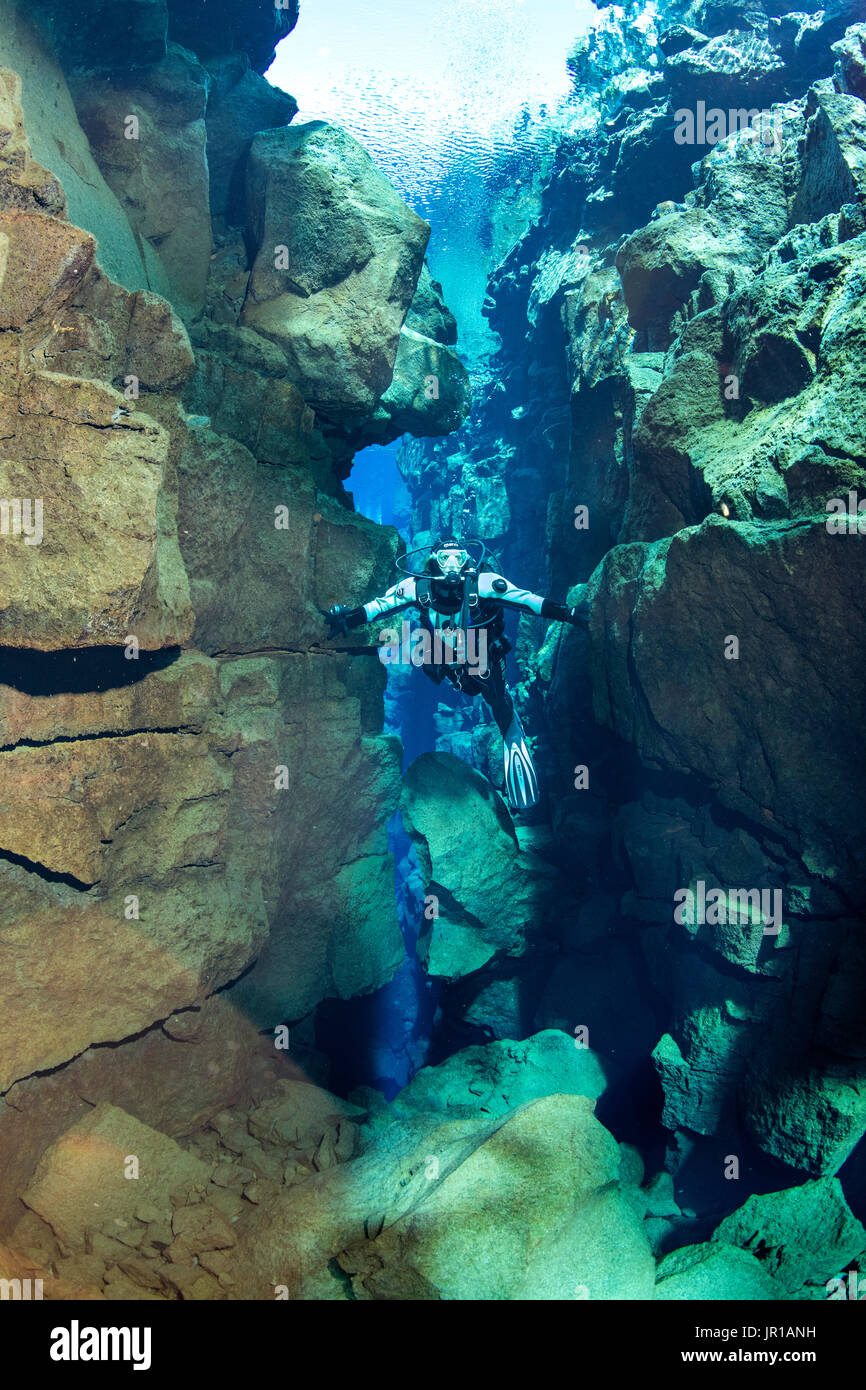 Diver submerges into Silfra Canyon, between the Eurasian and American tectonic plates. Silfra fissure is actually a crack between the North American and Eurasian continents that drift apart about 2cm per year. Thingvellir National Park, Iceland. Stock Photo