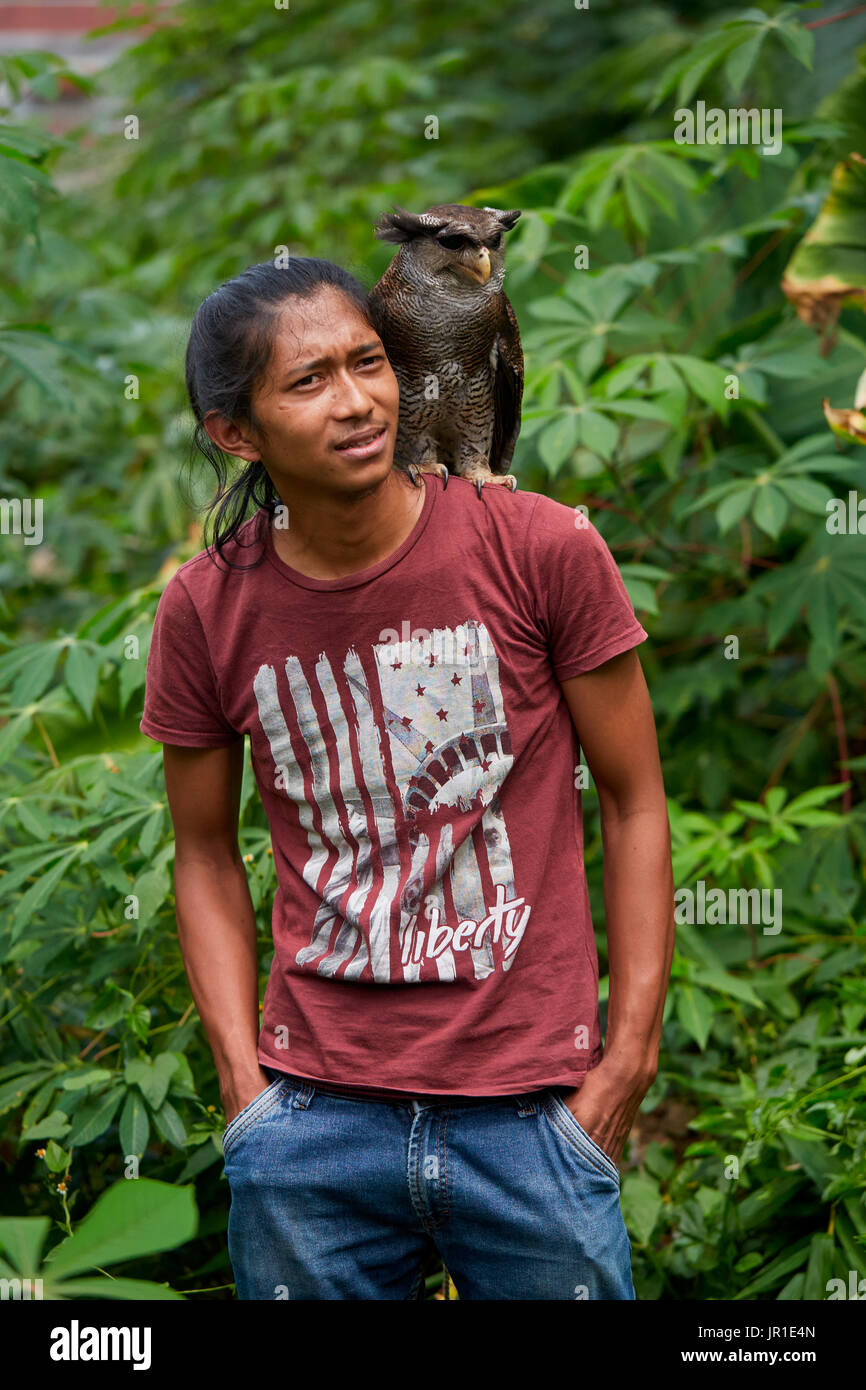 Barred eagleowl,also called the Malay eagleowl (Bubo sumatranus) and his keeper, Harau Valley
