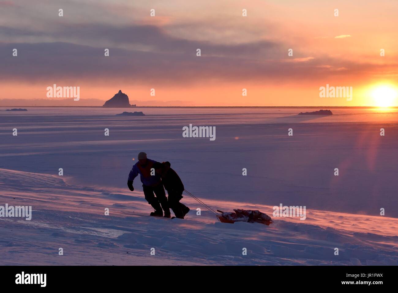 Hunters pulling bear meat in a sledge. Igterajivit district in February