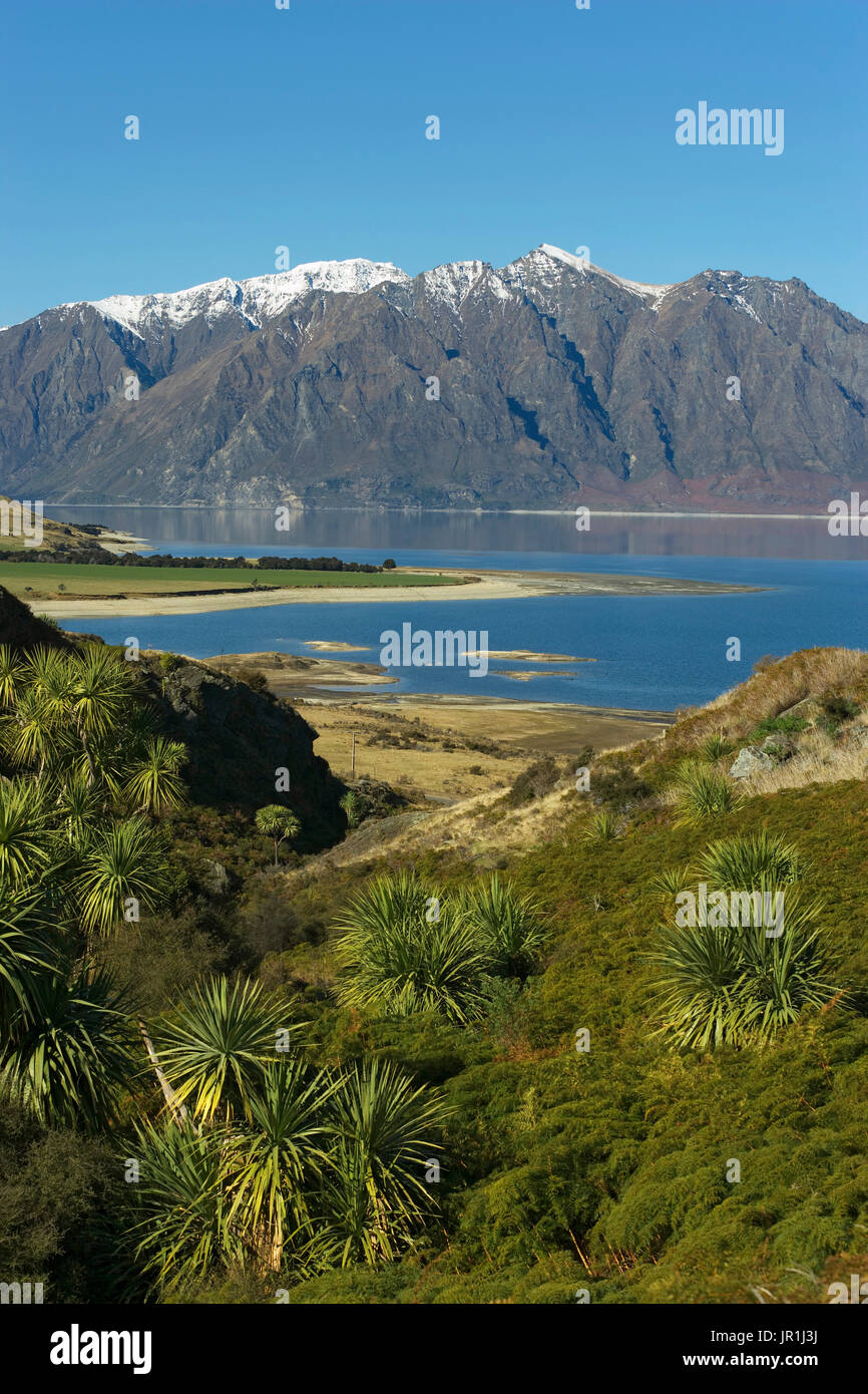 Hawea lake, South Island, New Zealand Stock Photo - Alamy