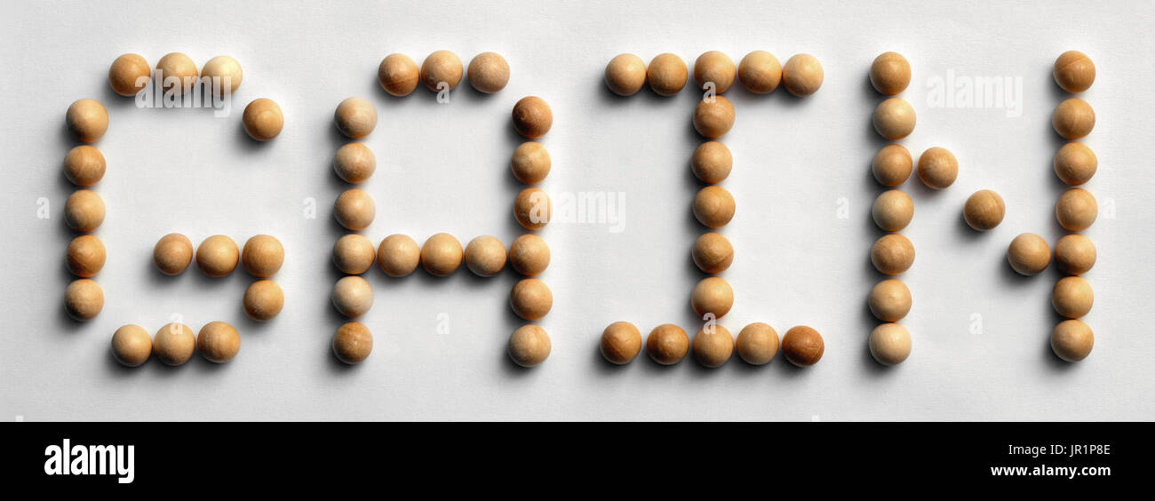 Photograph of the word 'Gain' spelled out with wood push pins Stock Photo