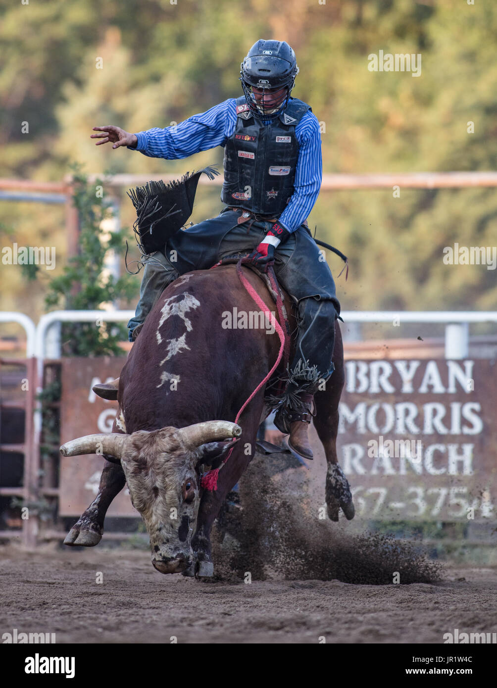 Rodeo action at the Scott Valley Pleasure Park Rodeo in Etna