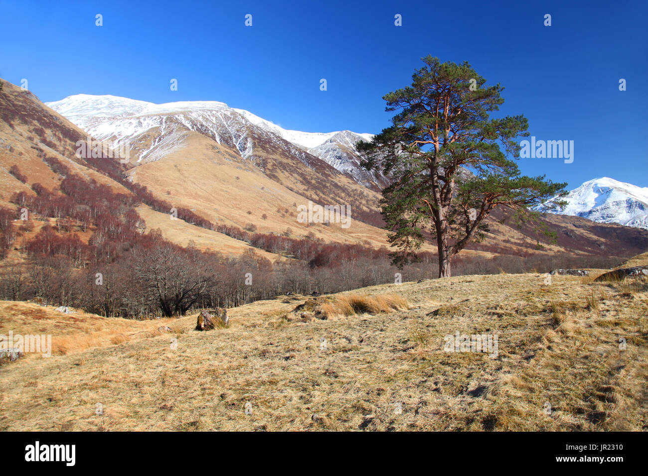 The Highlands of Scotland Stock Photo