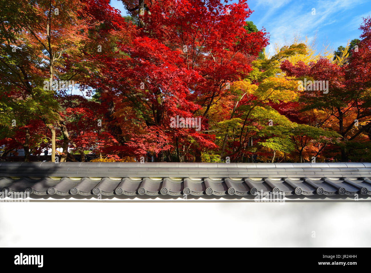 Oriental background of fall maple trees and a traditional Japanese wall crowned with tiles Stock Photo