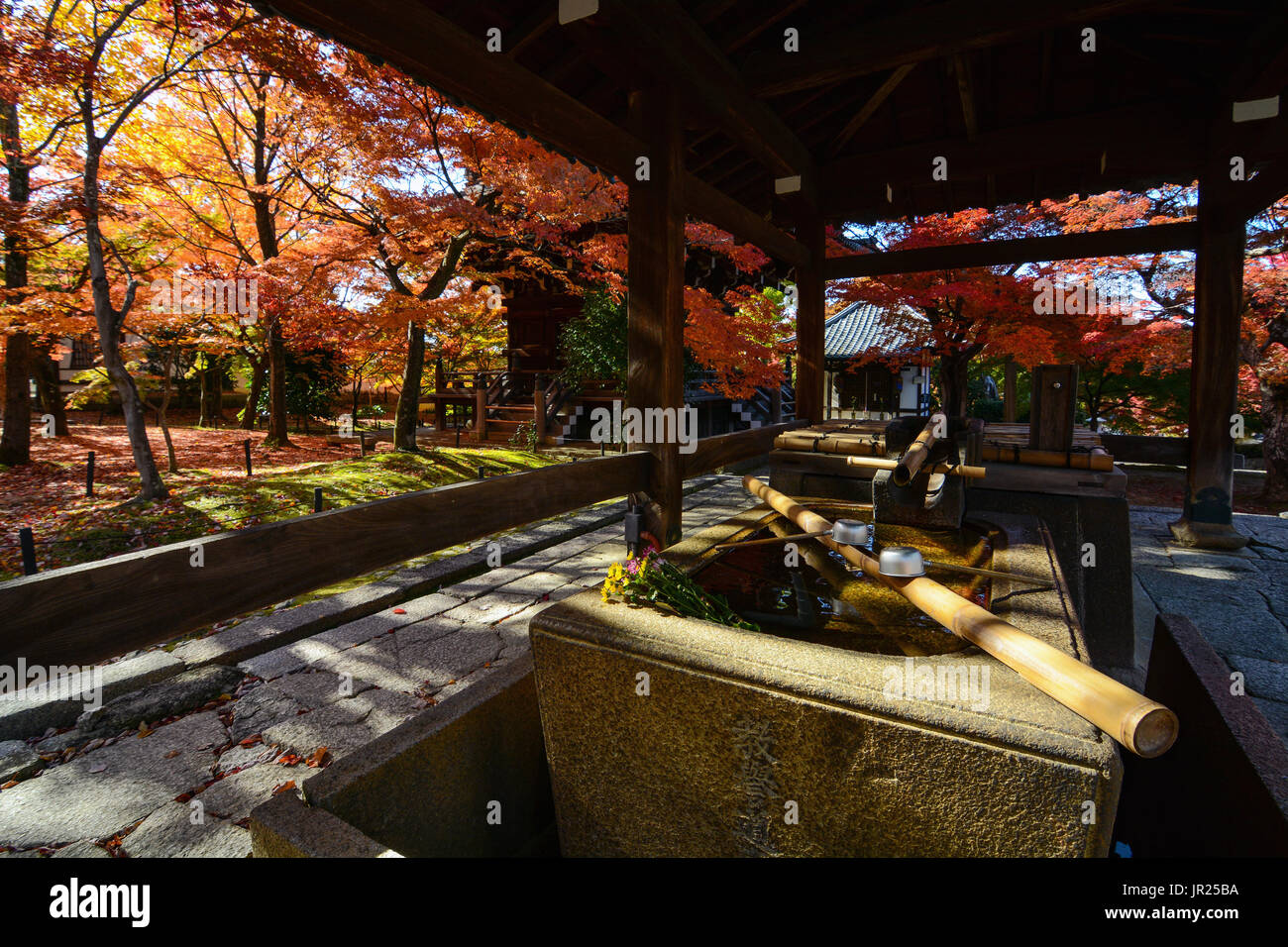 Religious purification washbasin outside a shrine during fall in Kyoto, Japan Stock Photo