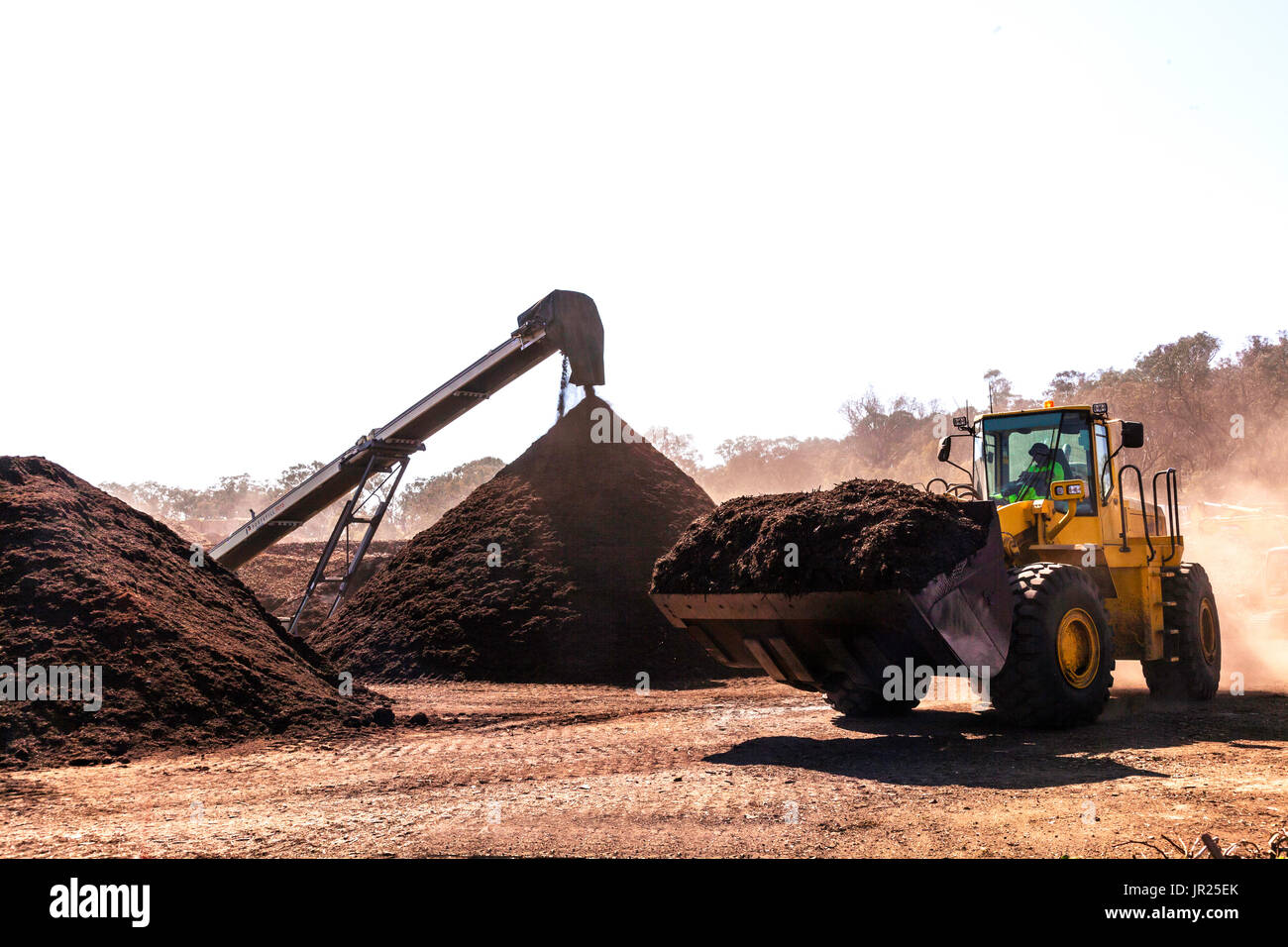 Moving compost made from organic vegetable materials with front end loader Stock Photo