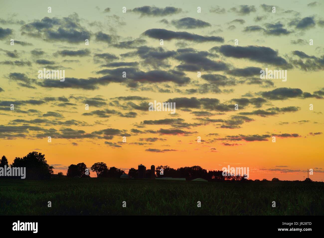 Burlington, Illinois, USA. Fair weather clouds drifting above farm country add texture and color to an already vivid summer sunset. Stock Photo