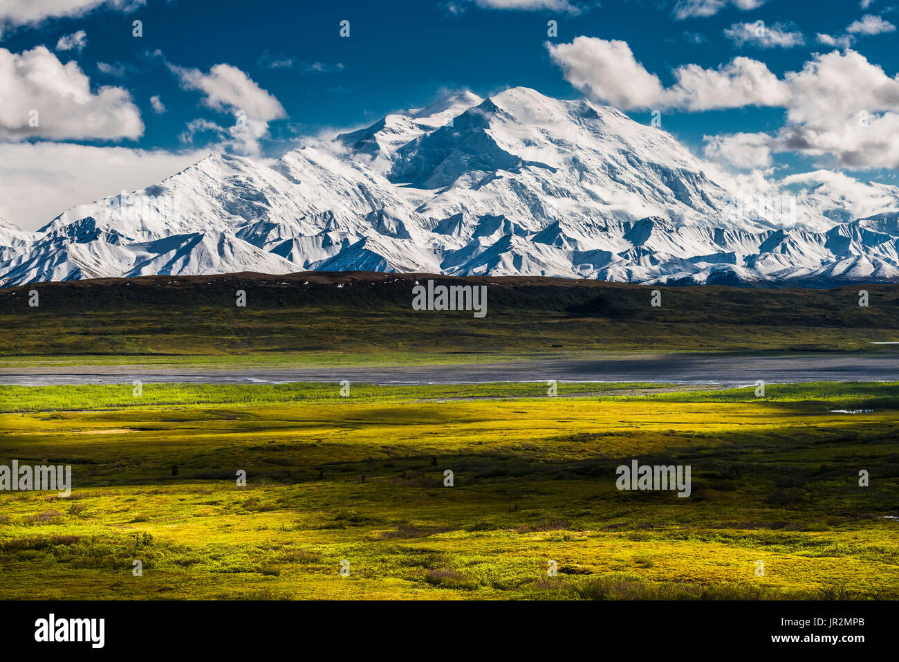 Scenic Summer View Of Denali And Vibrant Green Tundra In The Foreground, Interior Alaska, USA Stock Photo