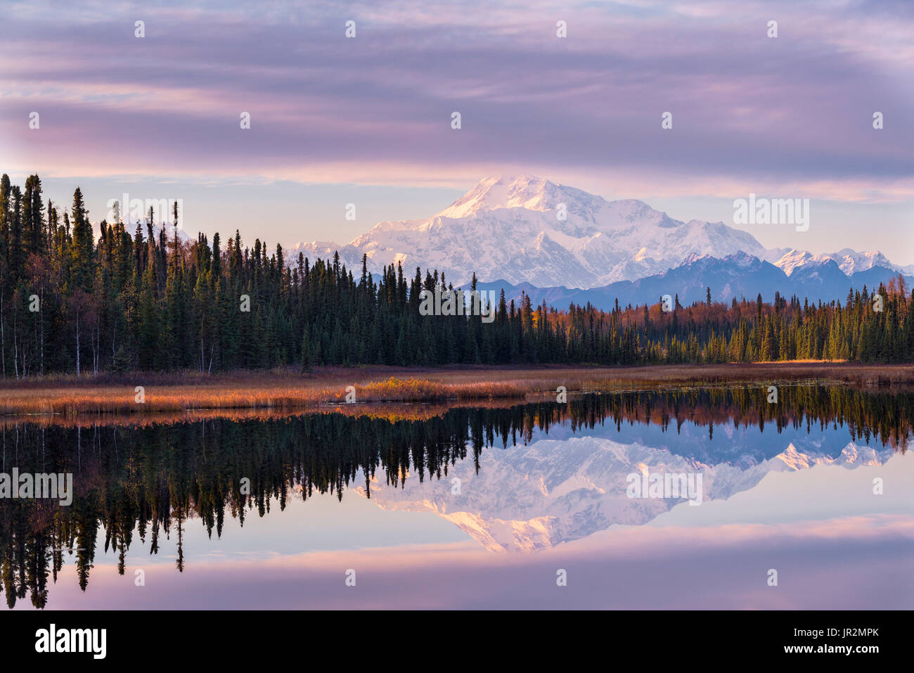 Scenic View Of Denali Reflecting In A Pond Along Peters Hills Road, Southcentral Alaska, USA Stock Photo