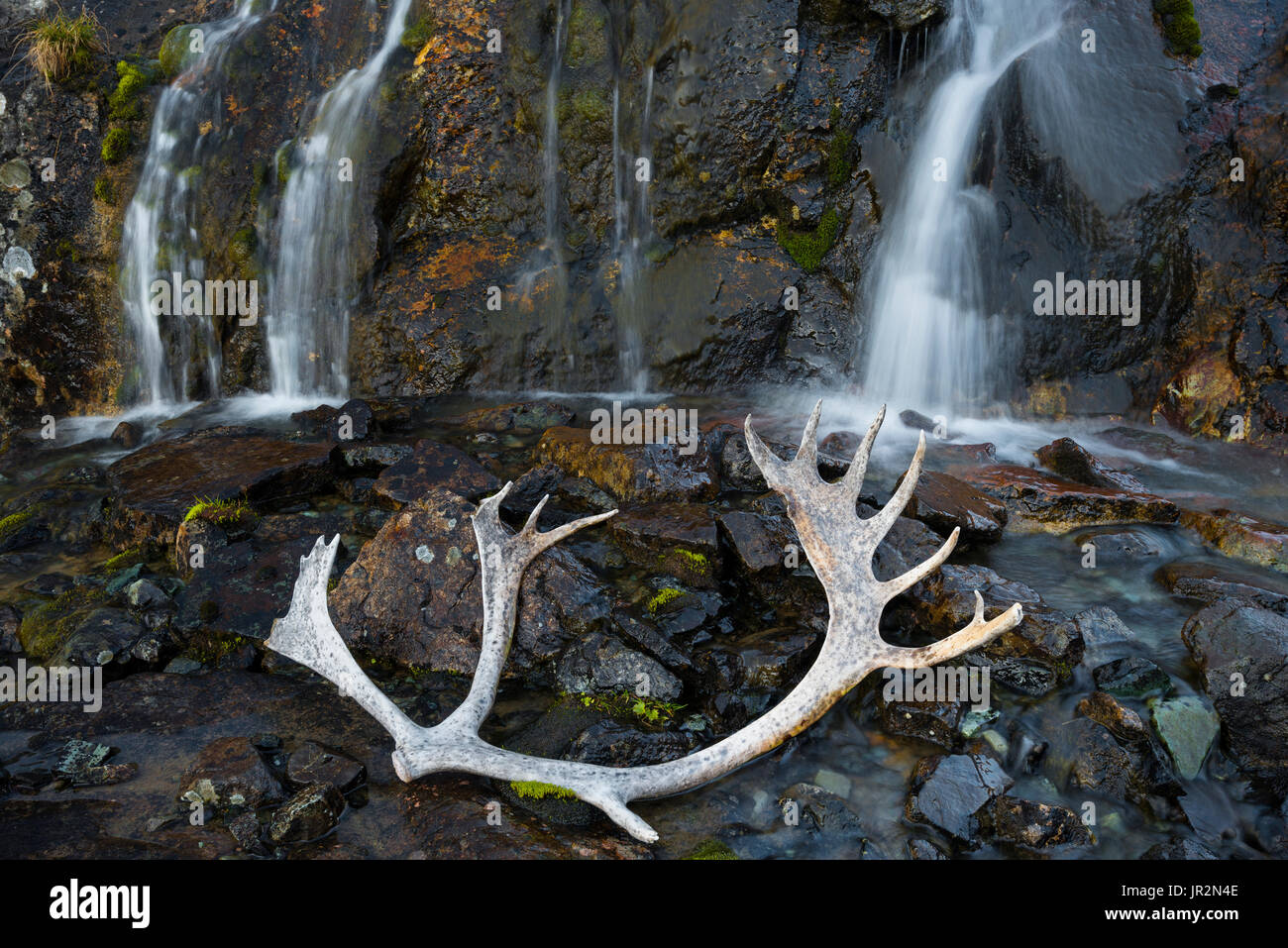 Waterfall With A Caribou Shed In The Foreground, Clearwater Mountains, Interior Alaska, USA Stock Photo