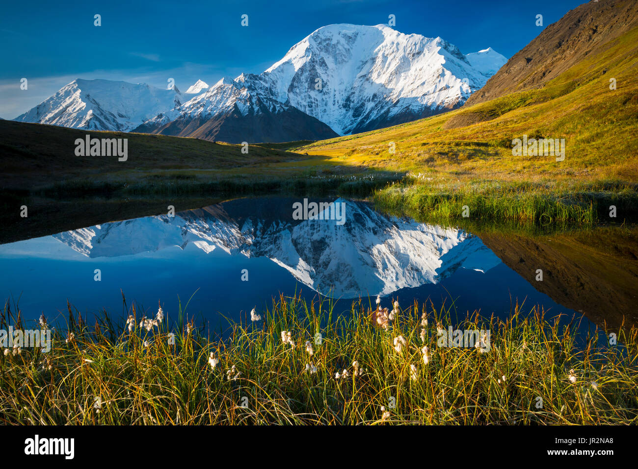 Scenic View Of Mt. Moffit Reflected In A Kettle Pond, Alaska Range, Interior Alaska, USA Stock Photo