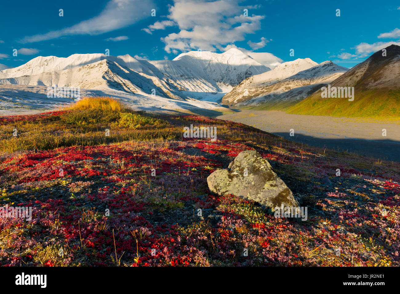 Scenic Autumn View Of The Snow Capped Alaska Range With Colorful Tundra In The Foreground, Interior Alaska, USA Stock Photo