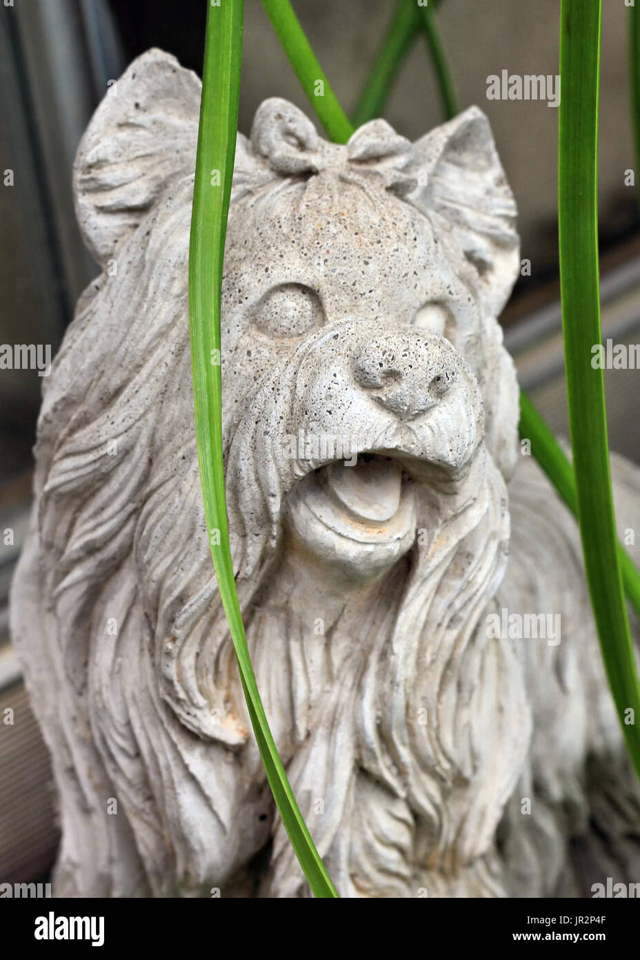 A cement statue of Silky or Yorkshire Terrier is viewed close up. Stock Photo