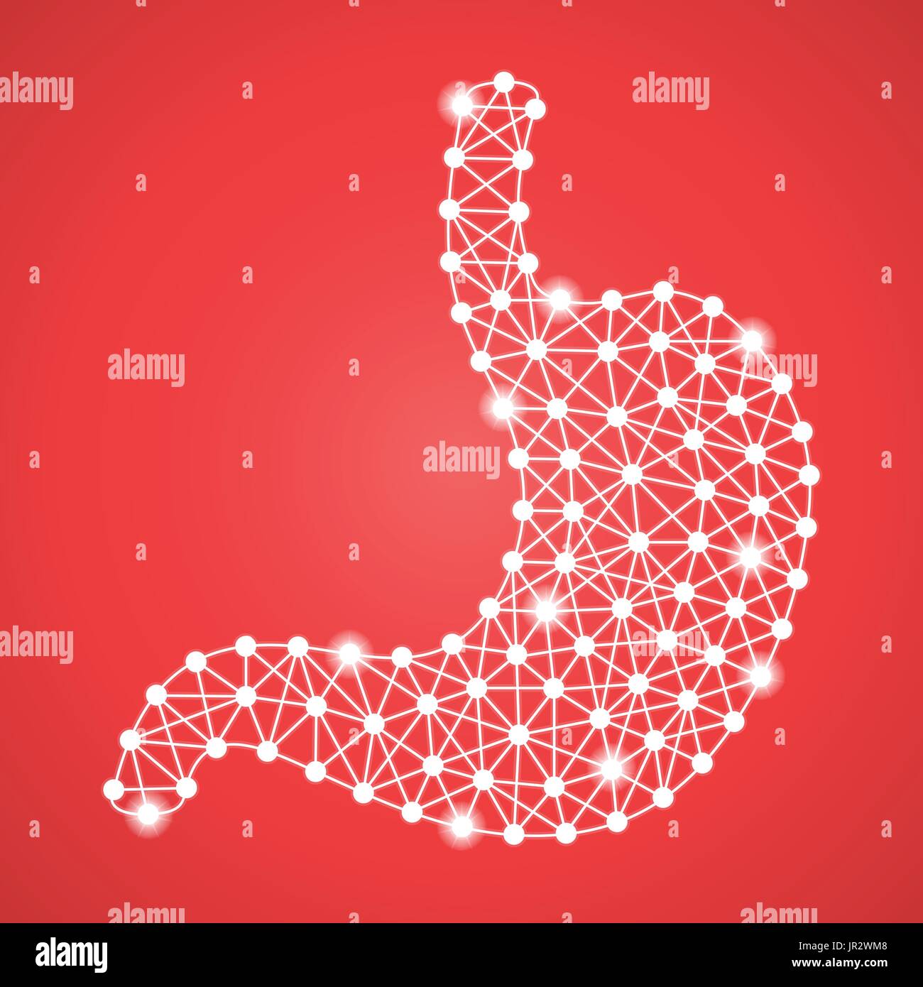 Human Stomach Isolated On A Red Background. Vector Illustration. Stock Vector