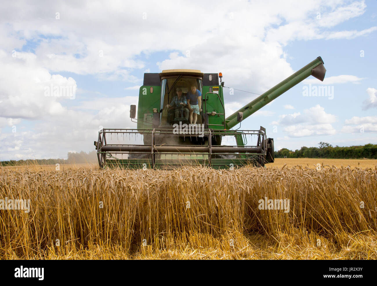Wheat harvest in summer - GB Stock Photo - Alamy