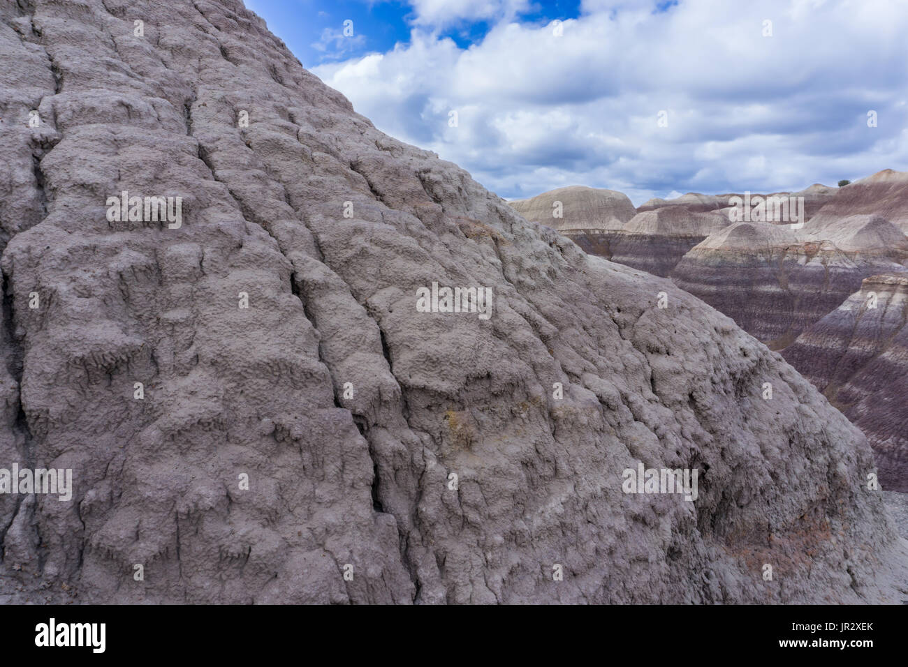 The Blue Mesa member in the Chinle Formation as seen in the Petrified