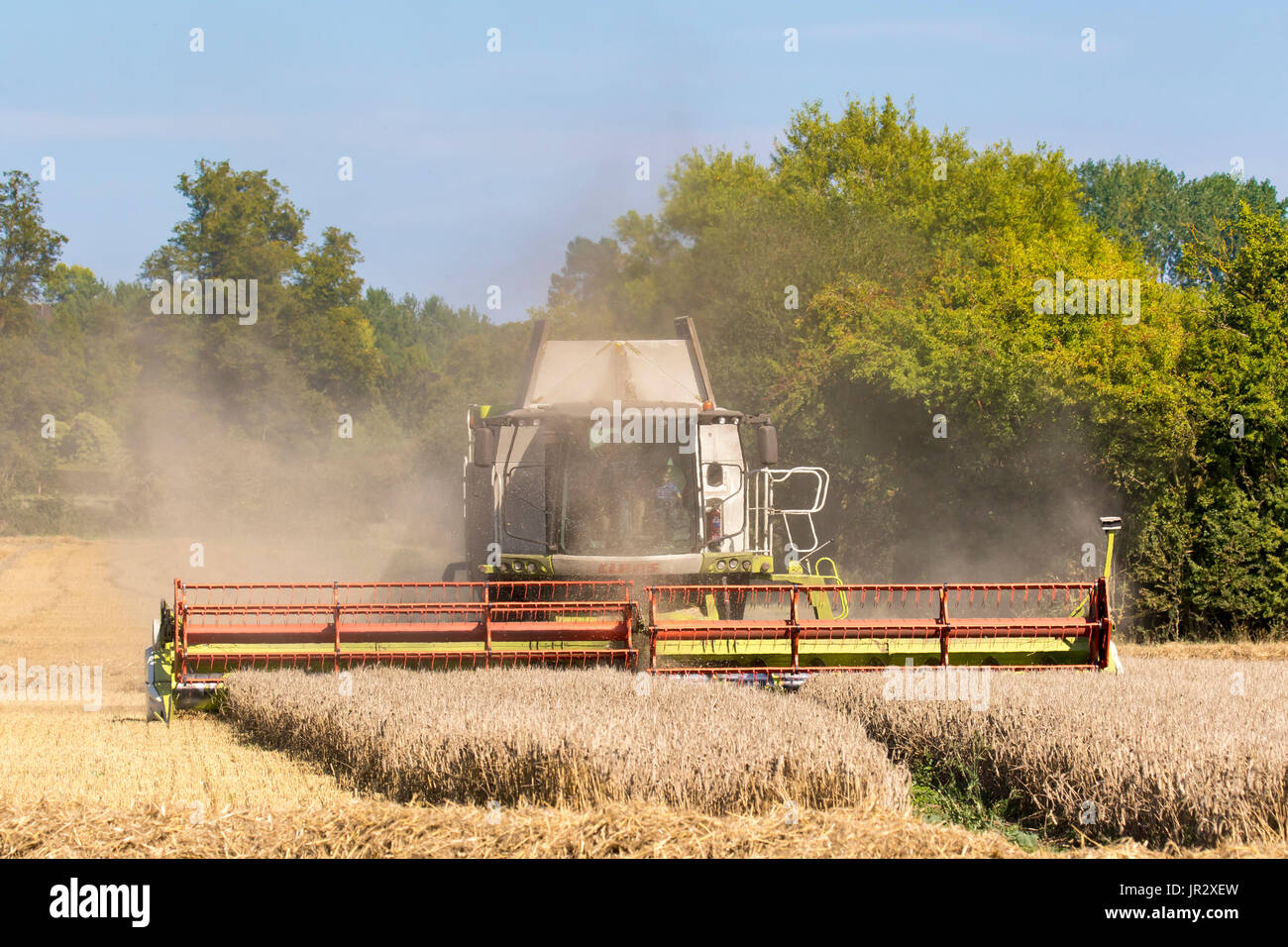 Wheat harvesting in summer - GB Stock Photo - Alamy