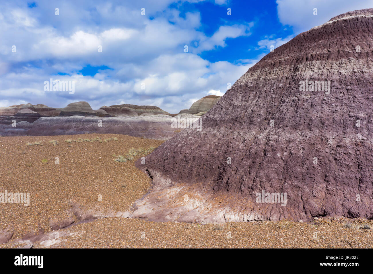 The Blue Mesa member in the Chinle Formation as seen in the Petrified