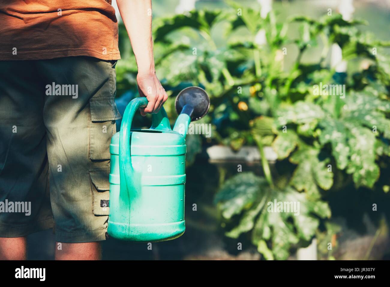 Gardener holding watering can on the vegetable garden Stock Photo - Alamy