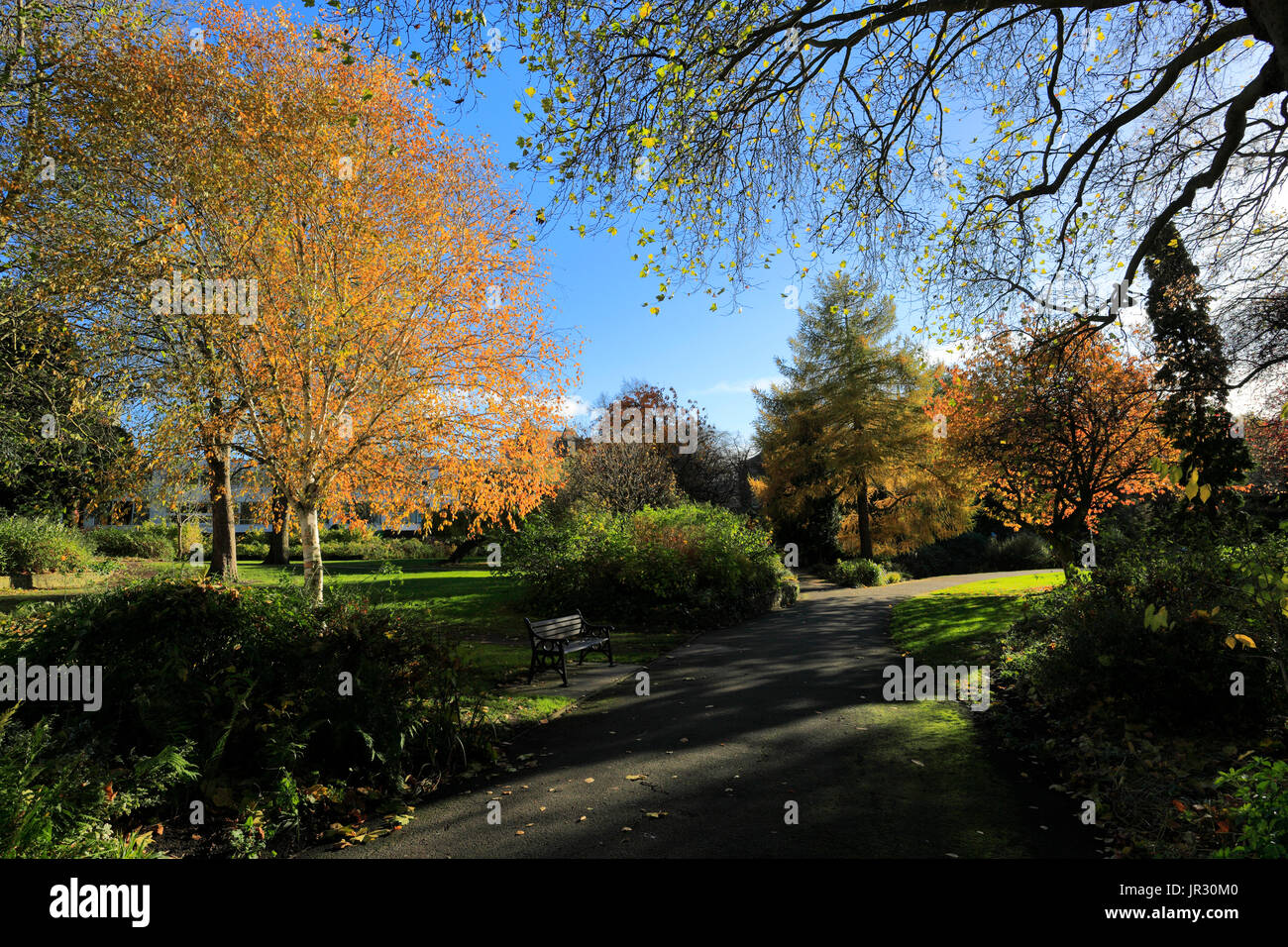 Autumn trees in Castle Gardens, Leicester City, Leicestershire, England