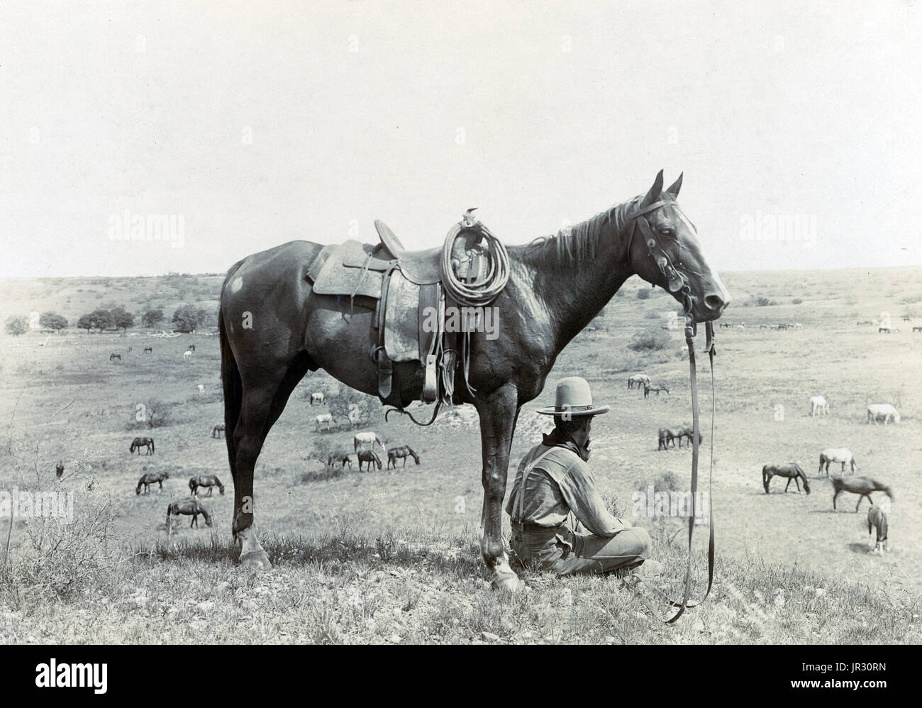 1910s cowboy hi-res stock photography and images - Alamy