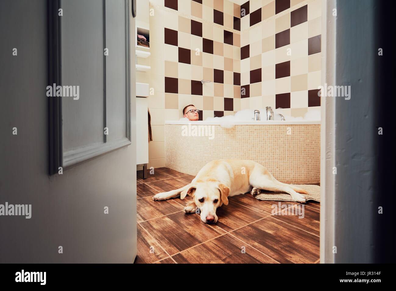 Living with dog. Young man relaxing in bathroom with his yellow labrador retriever. Stock Photo
