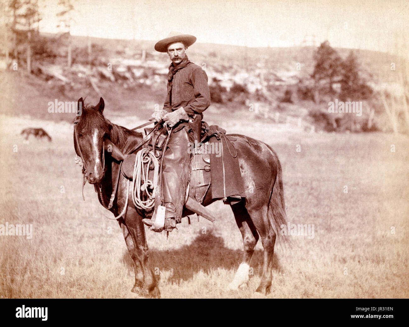 The historic American cowboy of the late 19th century arose from the vaquero traditions of northern Mexico and became a figure of special significance and legend. By the late 1860s, following the American Civil War and the expansion of the cattle industry, former soldiers from both the Union and Confederacy came west, seeking work, as did large numbers of restless white men in general. A significant number of African-American freedmen also were drawn to cowboy life, in part because there was not quite as much discrimination in the west as in other areas of American society at the time. The ave Stock Photo