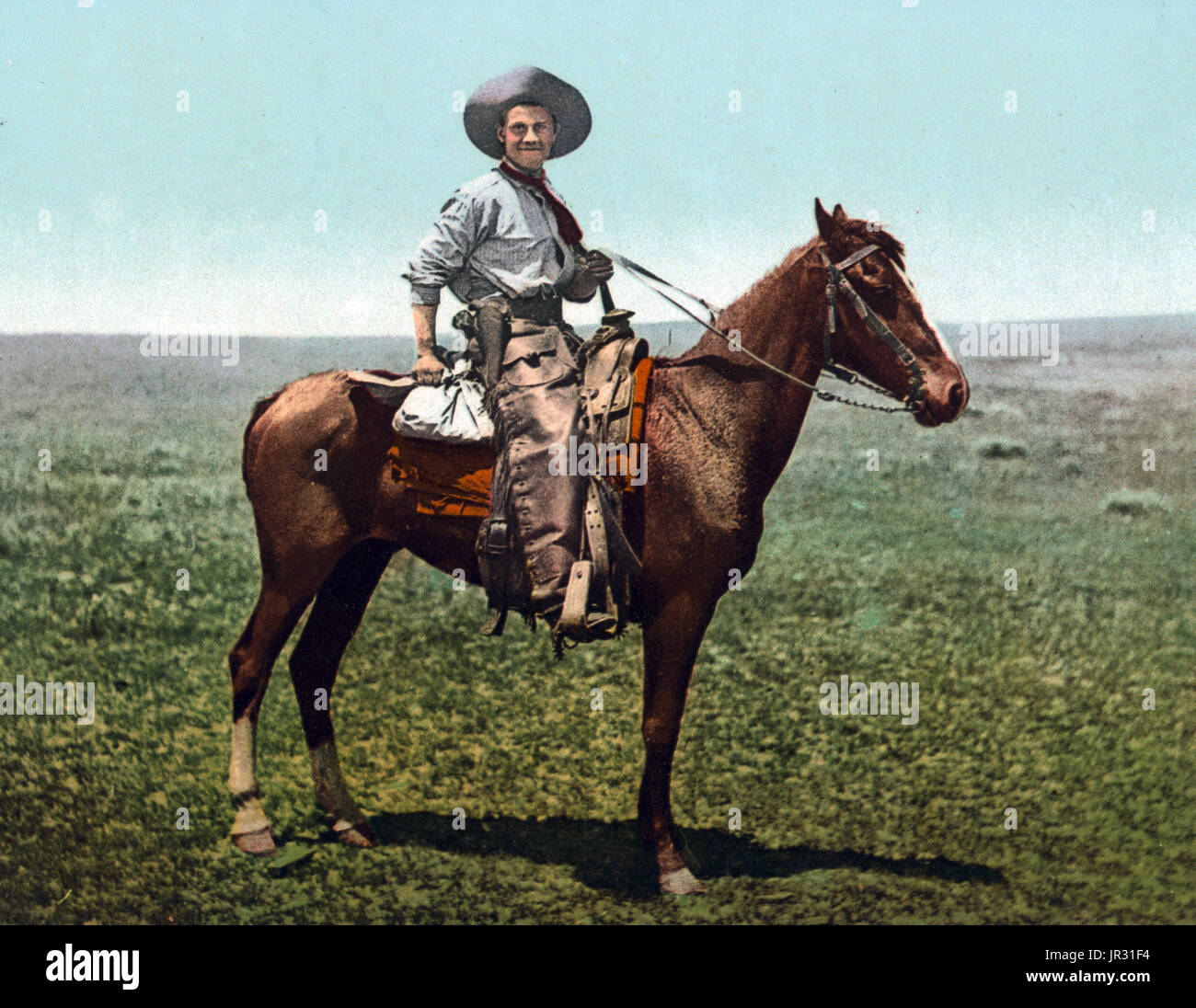 The historic American cowboy of the late 19th century arose from the vaquero traditions of northern Mexico and became a figure of special significance and legend. By the late 1860s, following the American Civil War and the expansion of the cattle industry, former soldiers from both the Union and Confederacy came west, seeking work, as did large numbers of restless white men in general. A significant number of African-American freedmen also were drawn to cowboy life, in part because there was not quite as much discrimination in the west as in other areas of American society at the time. The ave Stock Photo