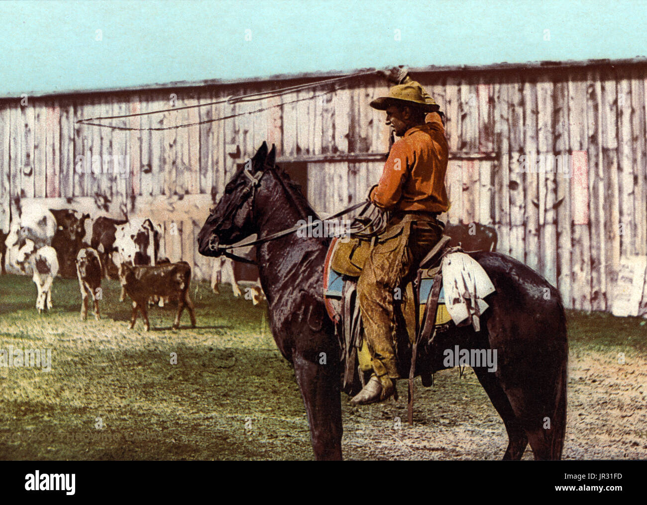 The historic American cowboy of the late 19th century arose from the vaquero traditions of northern Mexico and became a figure of special significance and legend. By the late 1860s, following the American Civil War and the expansion of the cattle industry, former soldiers from both the Union and Confederacy came west, seeking work, as did large numbers of restless white men in general. A significant number of African-American freedmen also were drawn to cowboy life, in part because there was not quite as much discrimination in the west as in other areas of American society at the time. The ave Stock Photo