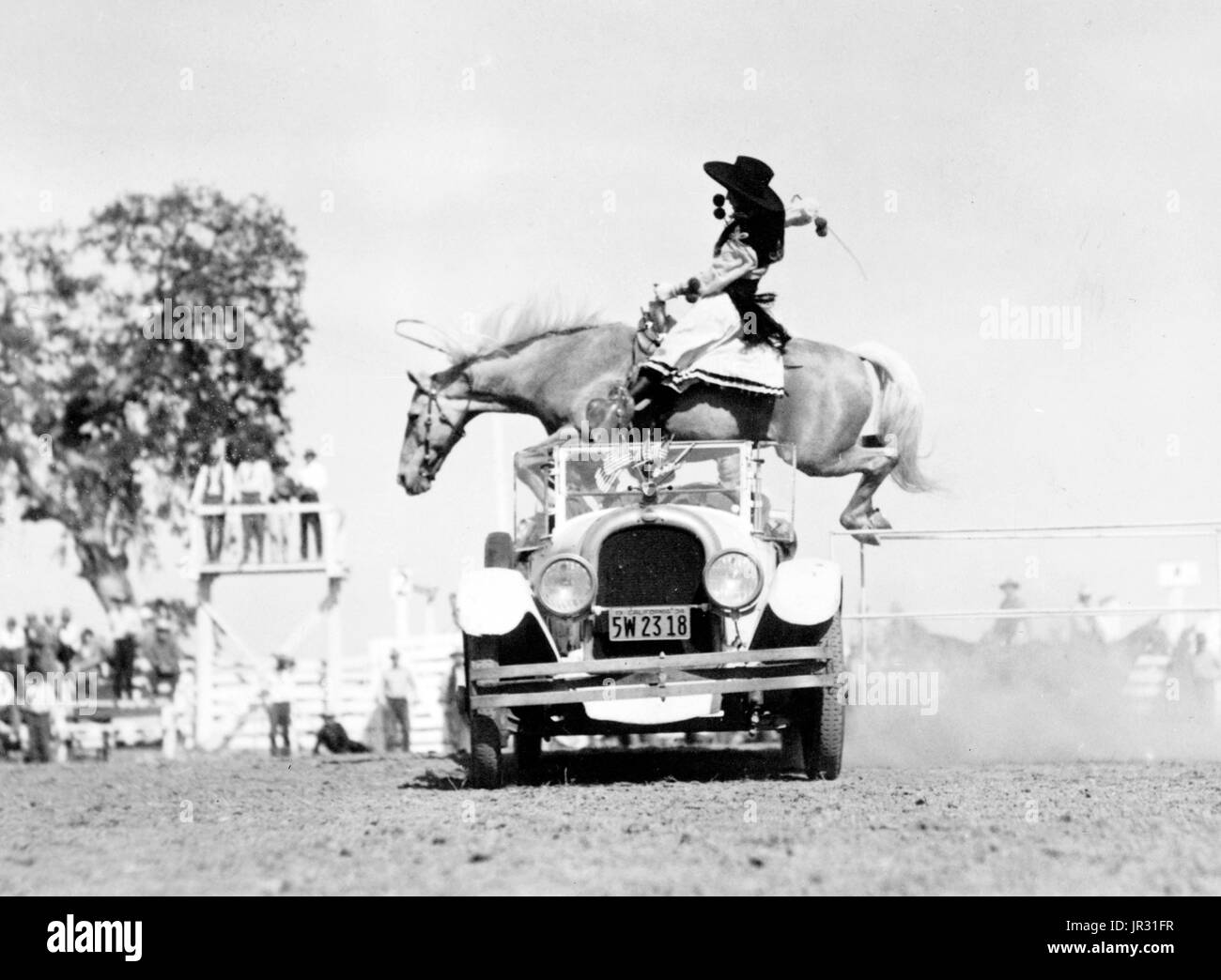 Cowgirl on horseback appearing to leap over a convertible automobile driven by a man at a rodeo. Historically, women have long participated in rodeo. "Prairie Rose" Henderson debuted at the Cheyenne rodeo in 1901, and, by 1920, women were competing in rough stock events, relay races and trick riding. But after Bonnie McCarrol died in the Pendleton Round-Up in 1929 and Marie Gibson died in a horse wreck in 1933, women's competitive participation was curbed. Rodeo women organized into various associations and staged their own rodeos. Today, women's barrel racing is included as a competitive even Stock Photo