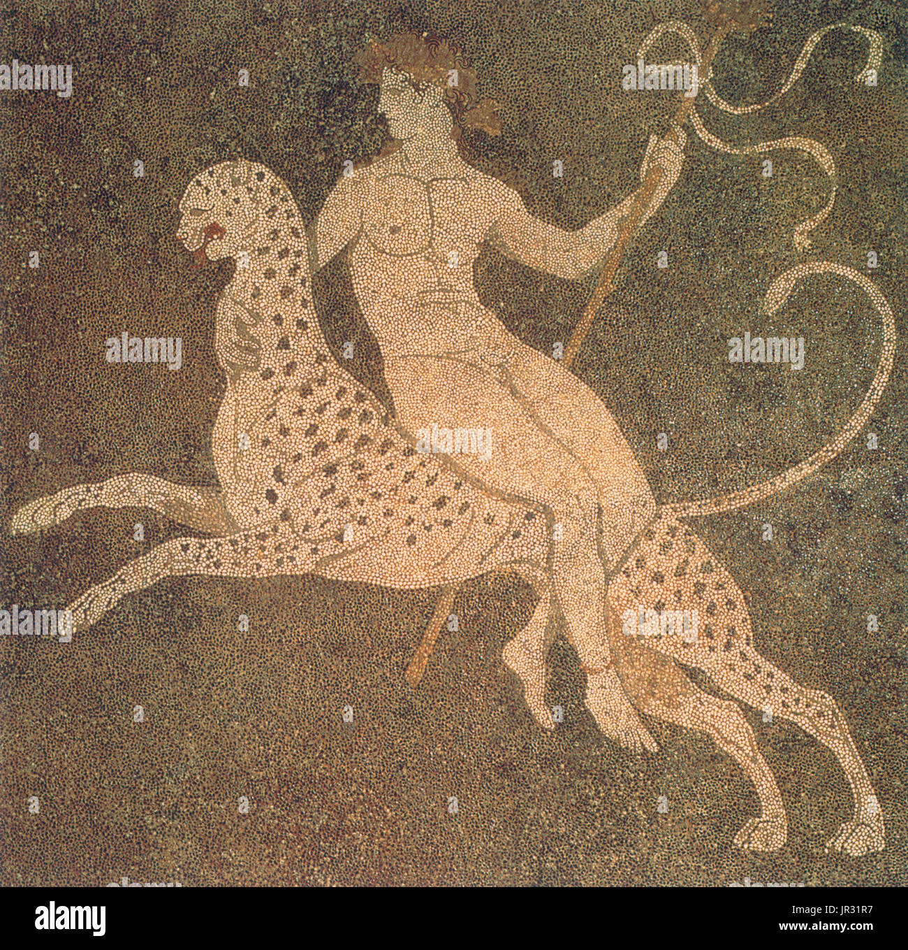 Dionysos riding a cheetah, mosaic from a wealthy home of the late 4th century BC, the 'House of Dionysos' at Pella, in Pella, the capital of the Macedonian Kingdom. Dionysus is the god of the grape harvest, winemaking and wine, of ritual madness, fertility, theater and religious ecstasy in ancient Greek religion and myth. Wine played an important role in Greek culture, and the cult of Dionysus was the main religious focus for its unrestrained consumption. He is a major, popular figure of Greek mythology and religion, becoming increasingly important over time, and included in some lists of the  Stock Photo