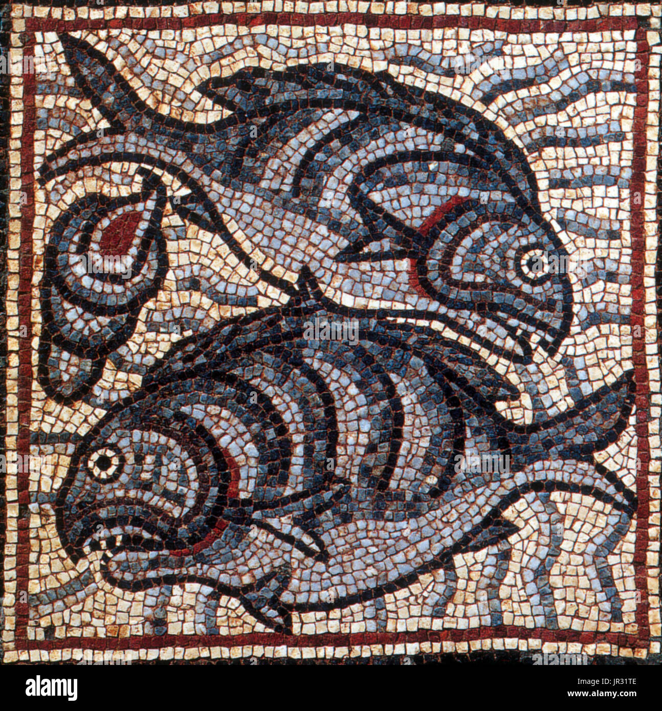 Byzantine Mosaic, Fish. Theodorias (modern Qasr Libya) was a Byzantine city in the Cyrenaica, founded in 539 by the emperor Justinian and named in honor of his wife, the Empress Theodora. The history of Qasr Libya goes back to the Greek period (4th century BC), when it was called Olbia. The complex contained two churches: the eastern church, discovered in 1957, and the western church, discovered in 1964. The mosaics were excavated from the nearby eastern church after they were discovered by Libyan laborers. The collection contains 50 panels, mostly of animals, gods, goddesses, nymphs, and famo Stock Photo